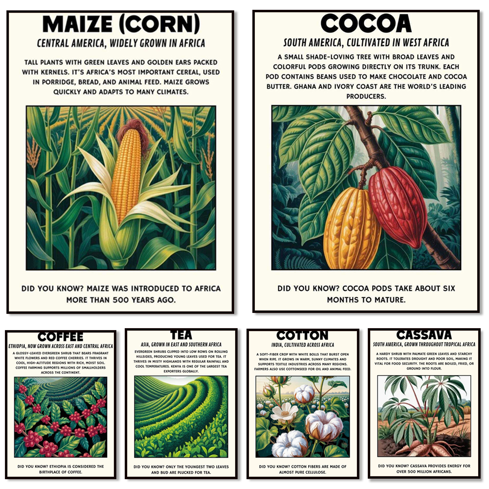 Coffee Tea For Plants - African plant prints, cassava, cotton, corn,